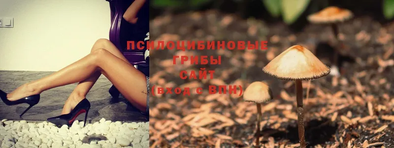 Псилоцибиновые грибы MAGIC MUSHROOMS  hydra онион  Райчихинск 